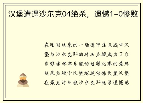 汉堡遭遇沙尔克04绝杀，遗憾1-0惨败