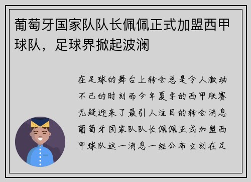 葡萄牙国家队队长佩佩正式加盟西甲球队，足球界掀起波澜